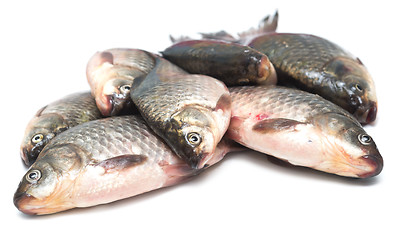 Image showing fresh fish