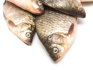 Image showing fresh fish