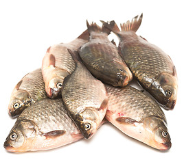 Image showing fresh fish