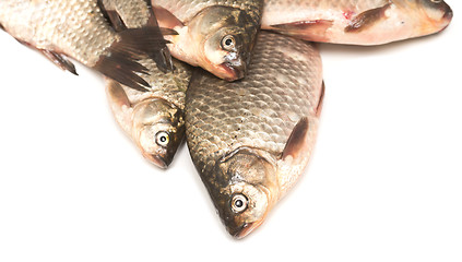 Image showing fresh fish