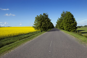 Image showing the asphalted road 