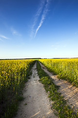 Image showing country road  