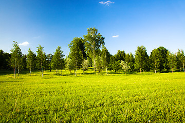 Image showing   city park in spring