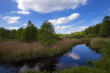 Image showing the river in the summer  