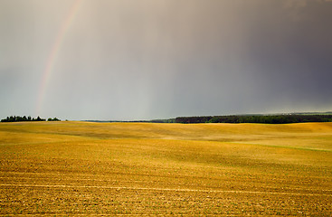 Image showing cleaning wheat