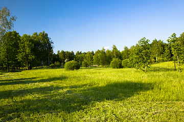 Image showing   city park in spring