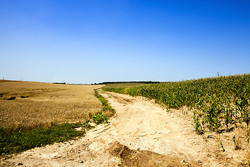 Image showing the rural road  