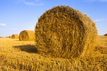 Image showing straw stack  