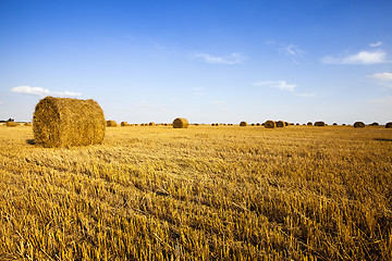 Image showing straw stack 