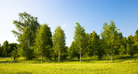 Image showing   city park in spring