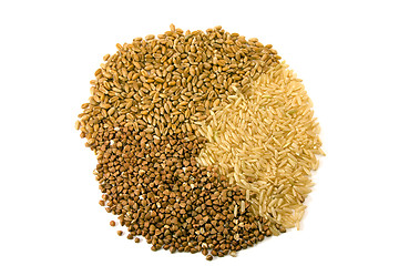 Image showing  grain.  