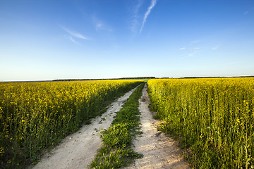 Image showing the road to a field  