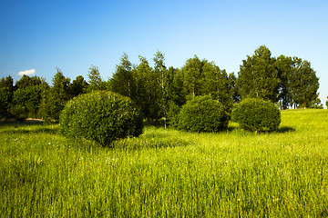 Image showing   city park in spring