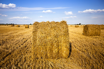 Image showing straw stack  