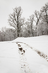 Image showing the road in winter