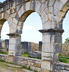 Image showing volubilis in morocco africa the old roman deteriorated monument 