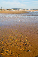 Image showing abstract in morocco  sea africa  and  bird