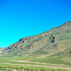 Image showing brown bush  in    valley  morocco         africa the atlas dry m