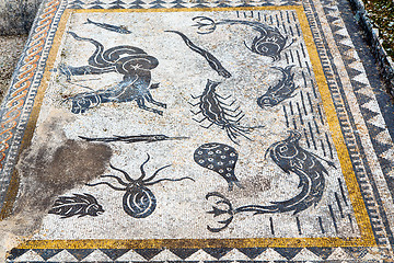 Image showing roof mosaic in the old city fish