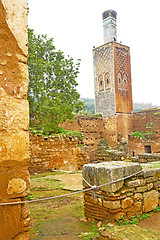 Image showing chellah  in           the old roman      monument and site