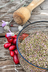 Image showing Cornel berries with herbaceous medicinal shrub