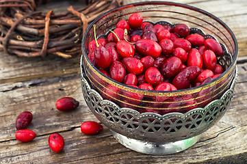 Image showing Cornel berries with herbaceous medicinal shrub