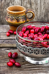 Image showing Cornel berries with herbaceous medicinal shrub