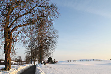 Image showing Path in the snow in winter in Denmark