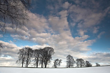 Image showing Winter sceneries in Denmark with a field covered by snow
