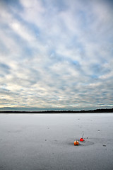 Image showing Buoy on a lake in Denmark