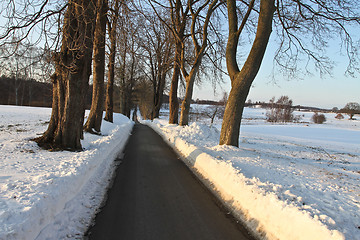 Image showing Path in the snow in winter in Denmark