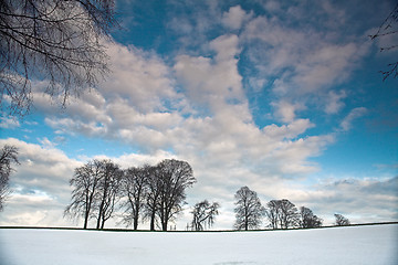 Image showing Winter sceneries in Denmark with a field covered by snow