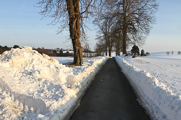 Image showing Path in the snow in winter in Denmark