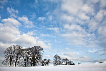 Image showing Winter sceneries in Denmark with a field covered by snow