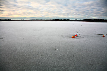Image showing Buoy on a lake in Denmark