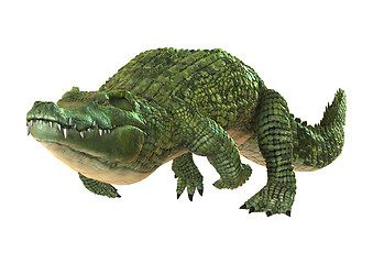 Image showing Crocodile