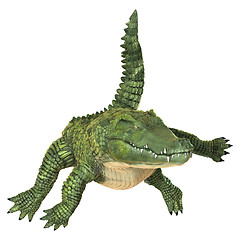 Image showing Crocodile