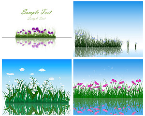 Image showing 4 Grass on Water backgrounds