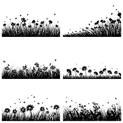 Image showing 6 Meadow Backgrounds 