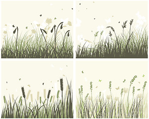 Image showing 4 Meadow Backgrounds