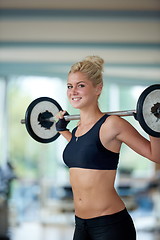 Image showing young woman in fitness gym lifting  weights