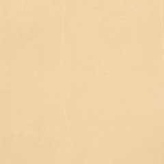 Image showing Beige leather