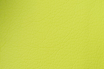 Image showing Green leather