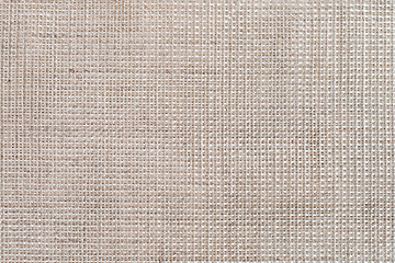 Image showing Beige canvas