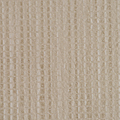 Image showing Beige vinyl texture