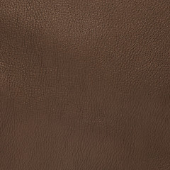 Image showing Natural brown leather