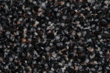 Image showing Black carpet