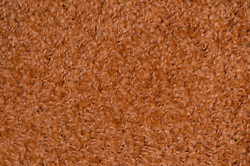 Image showing Brown carpet