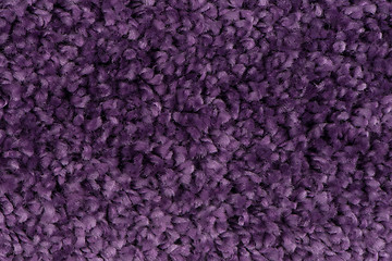 Image showing Purple carpet