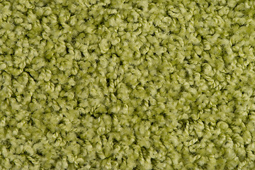 Image showing Green carpet or mat 